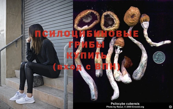 мдпв Беломорск