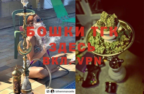 мяу мяу мука Белокуриха