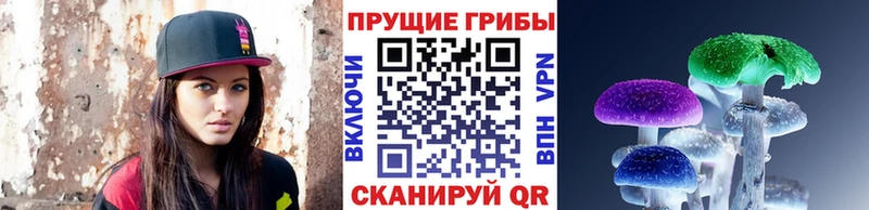 Псилоцибиновые грибы мухоморы мега рабочий сайт Брюховецкая